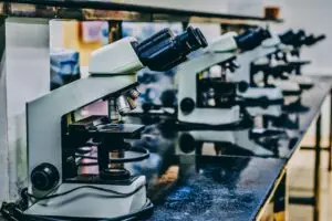 Microscopes sitting on a bench
